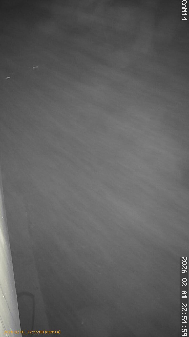 thumbnail_20260201225500