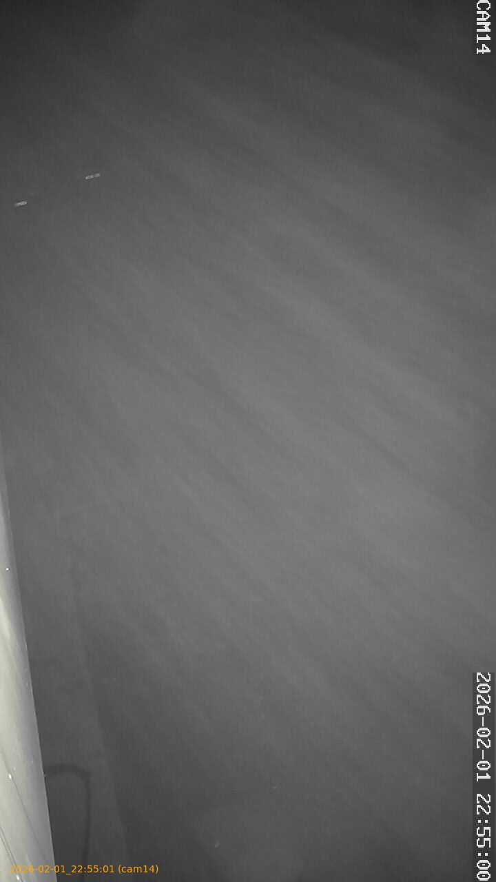 thumbnail_20260201225501