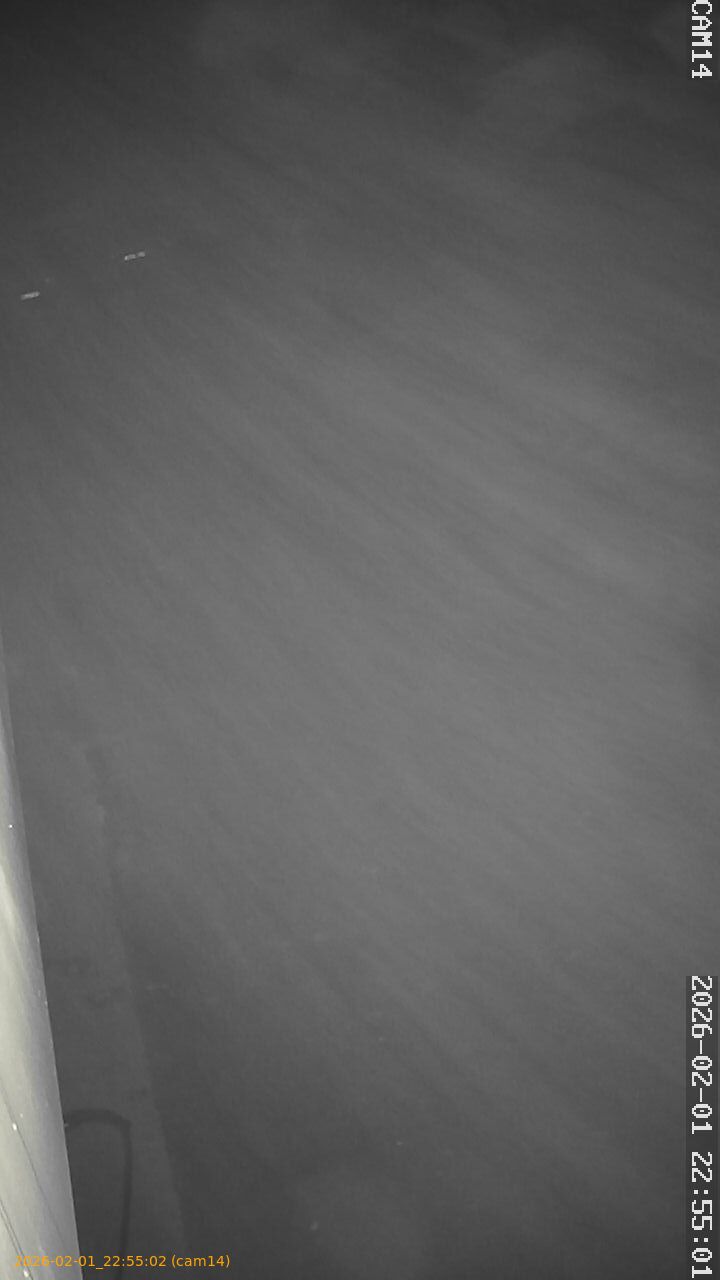 thumbnail_20260201225502