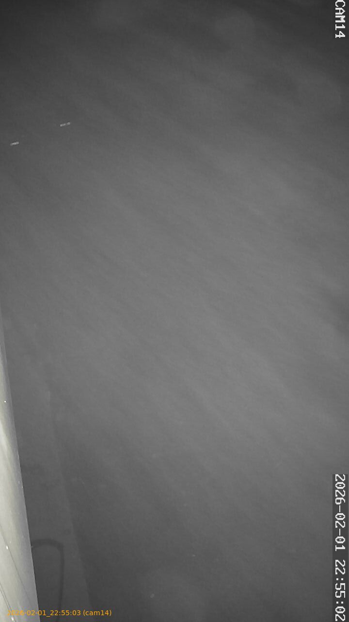 thumbnail_20260201225503