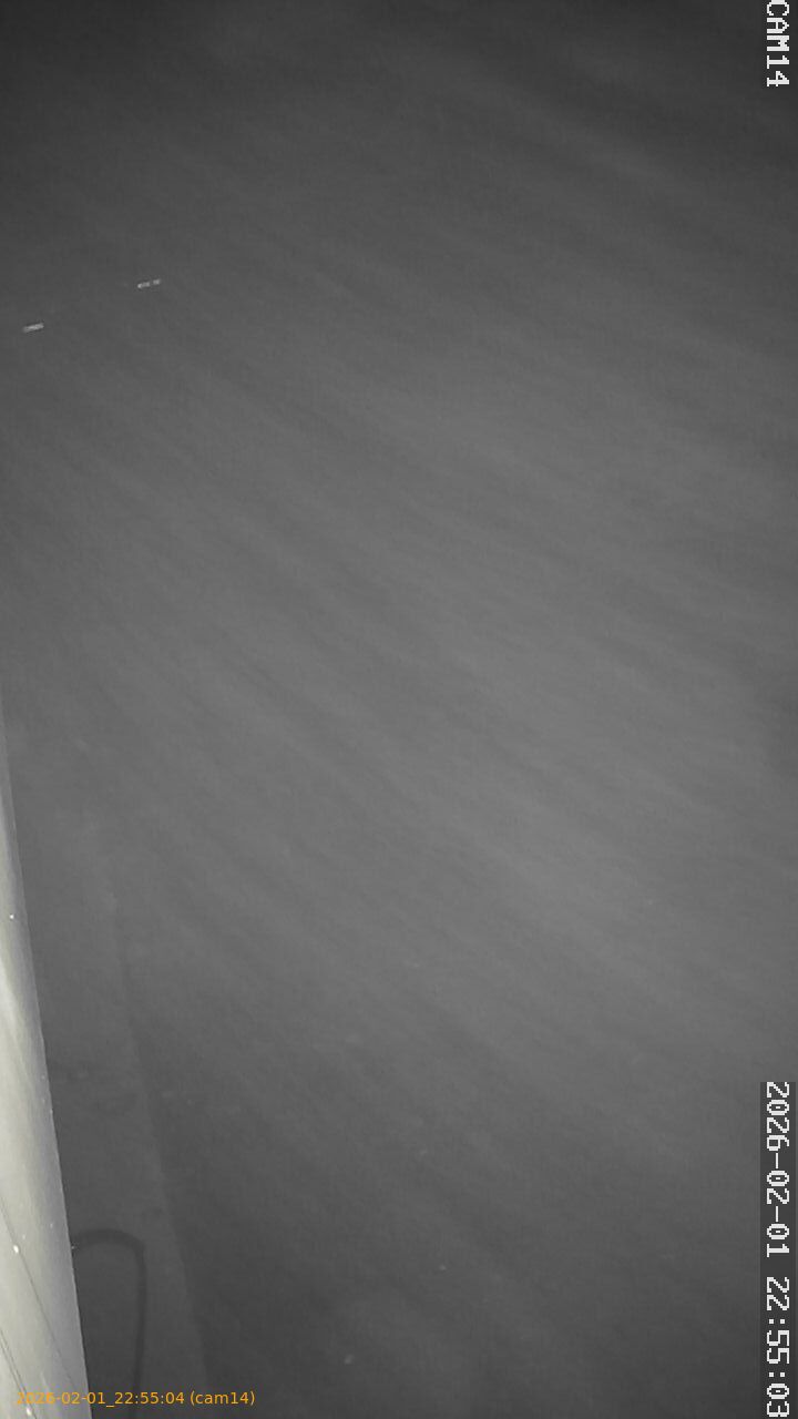 thumbnail_20260201225504