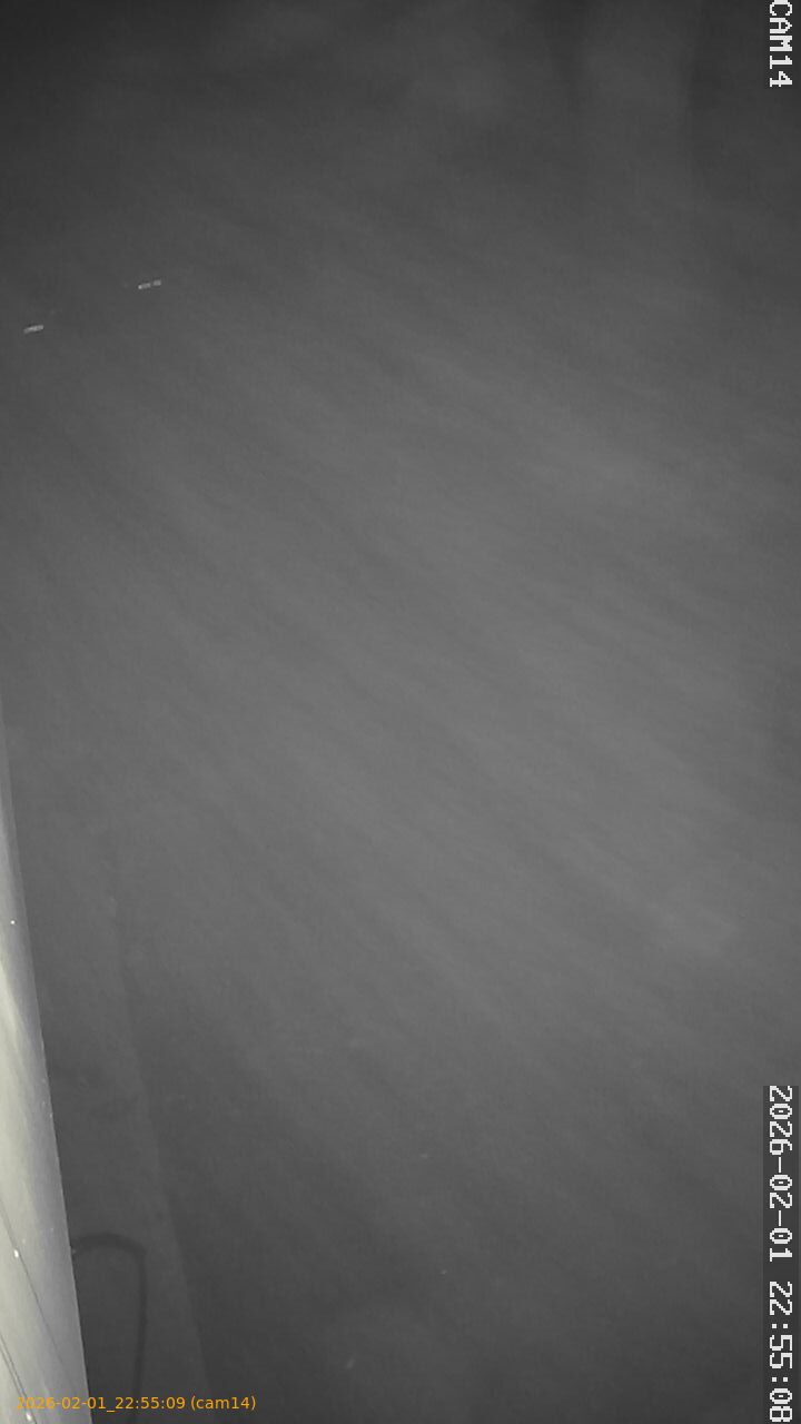 thumbnail_20260201225509