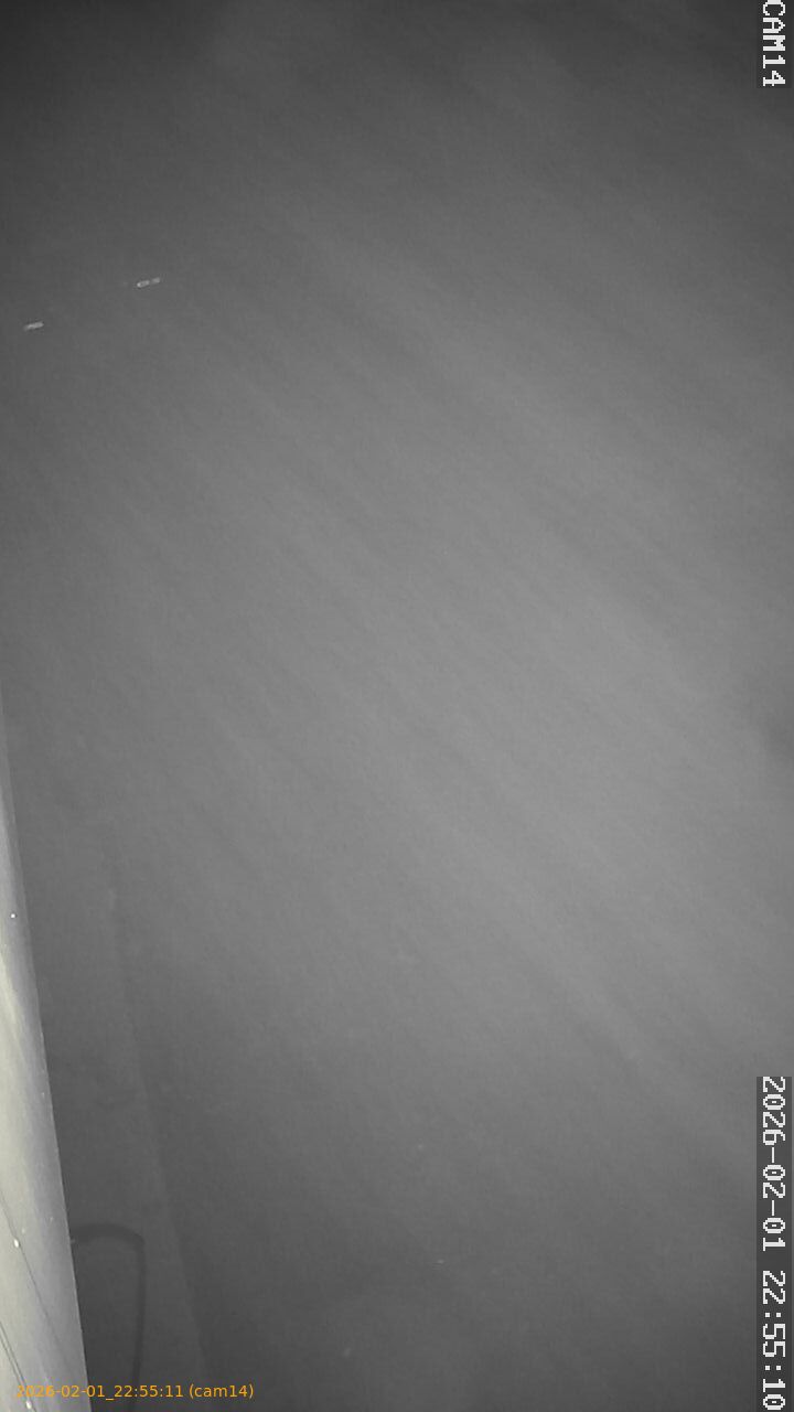 thumbnail_20260201225511