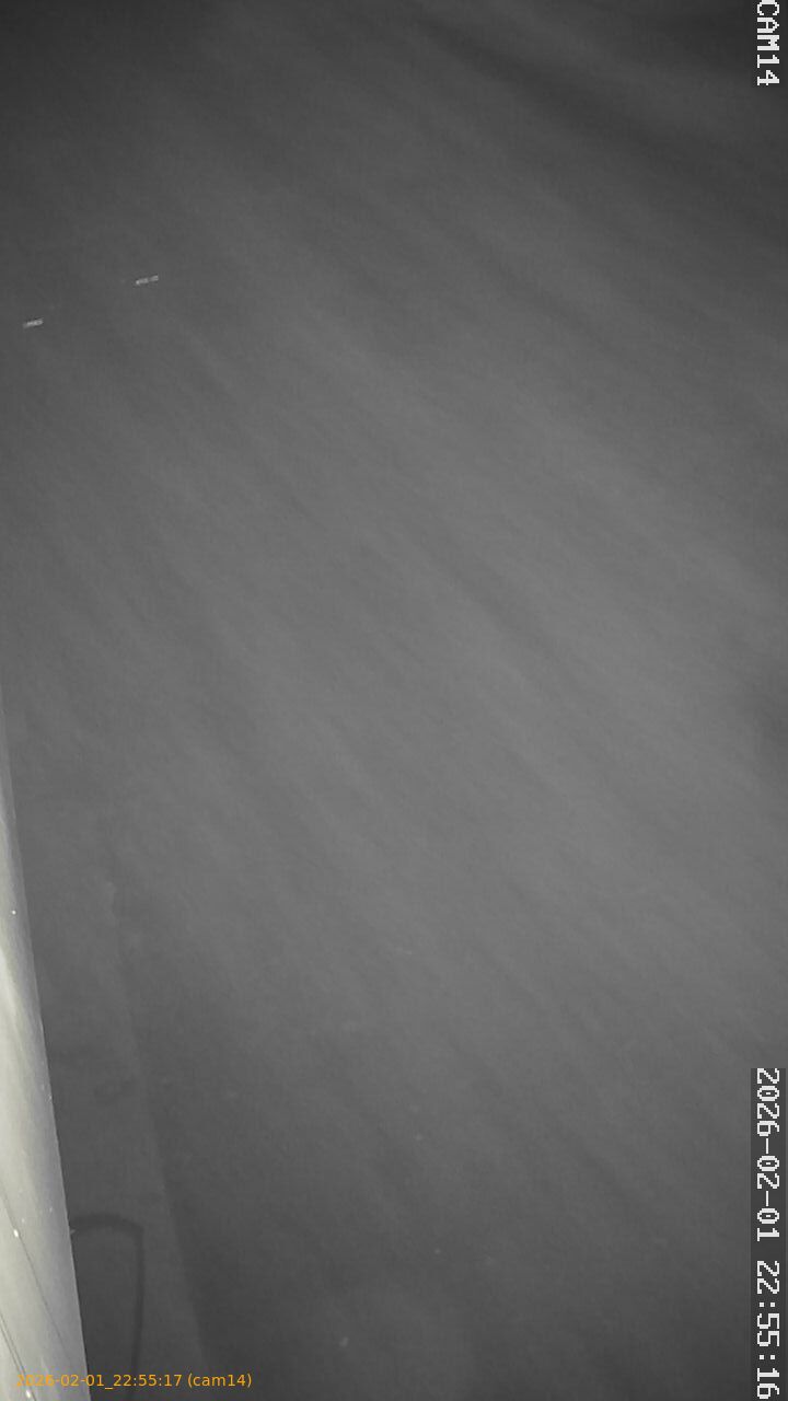 thumbnail_20260201225517