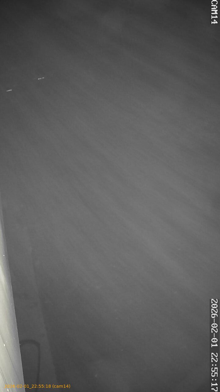 thumbnail_20260201225518