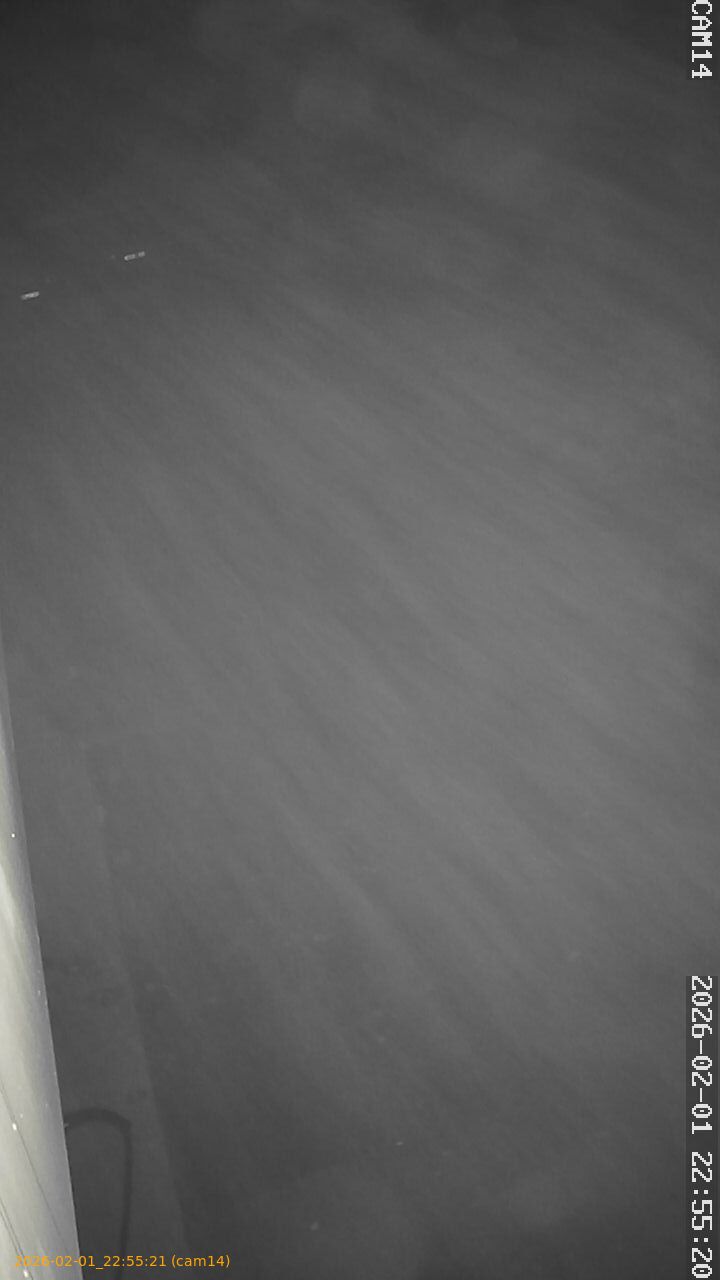 thumbnail_20260201225521