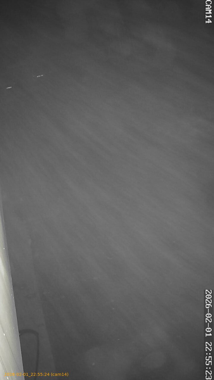 thumbnail_20260201225524