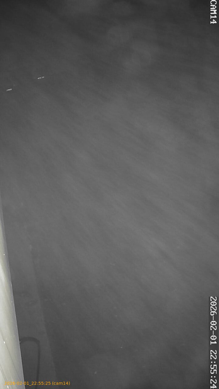 thumbnail_20260201225525