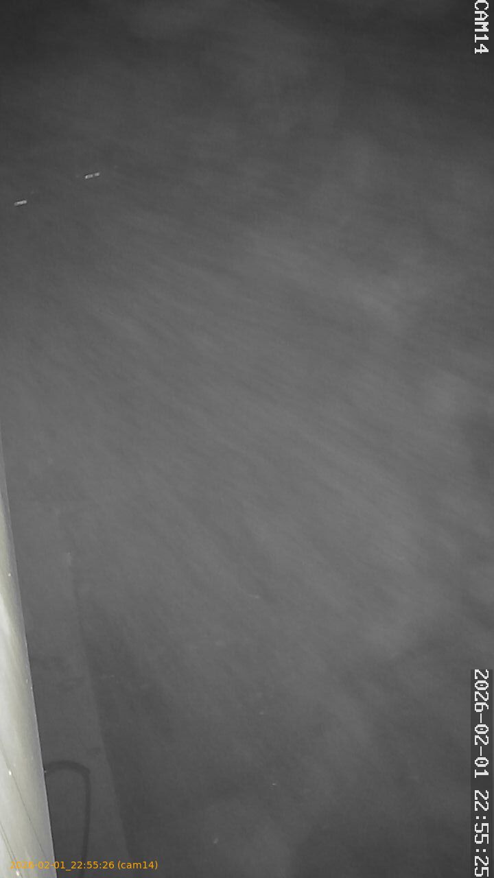 thumbnail_20260201225526