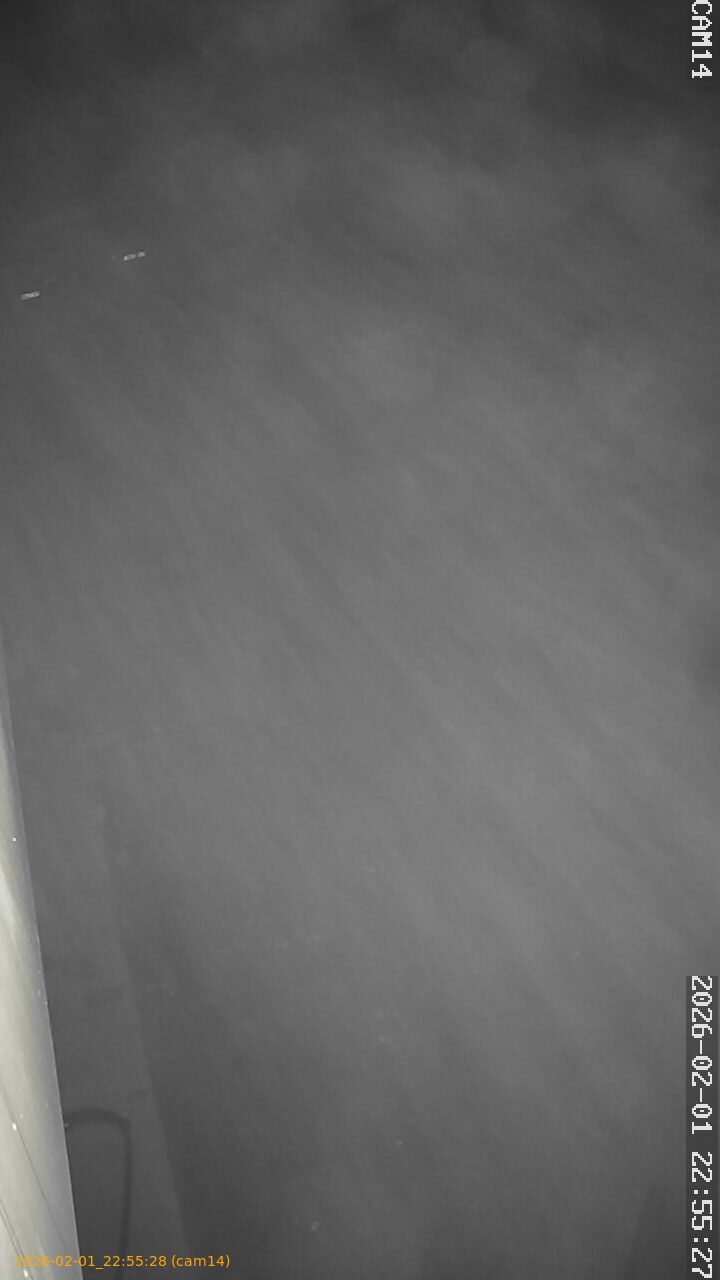 thumbnail_20260201225528