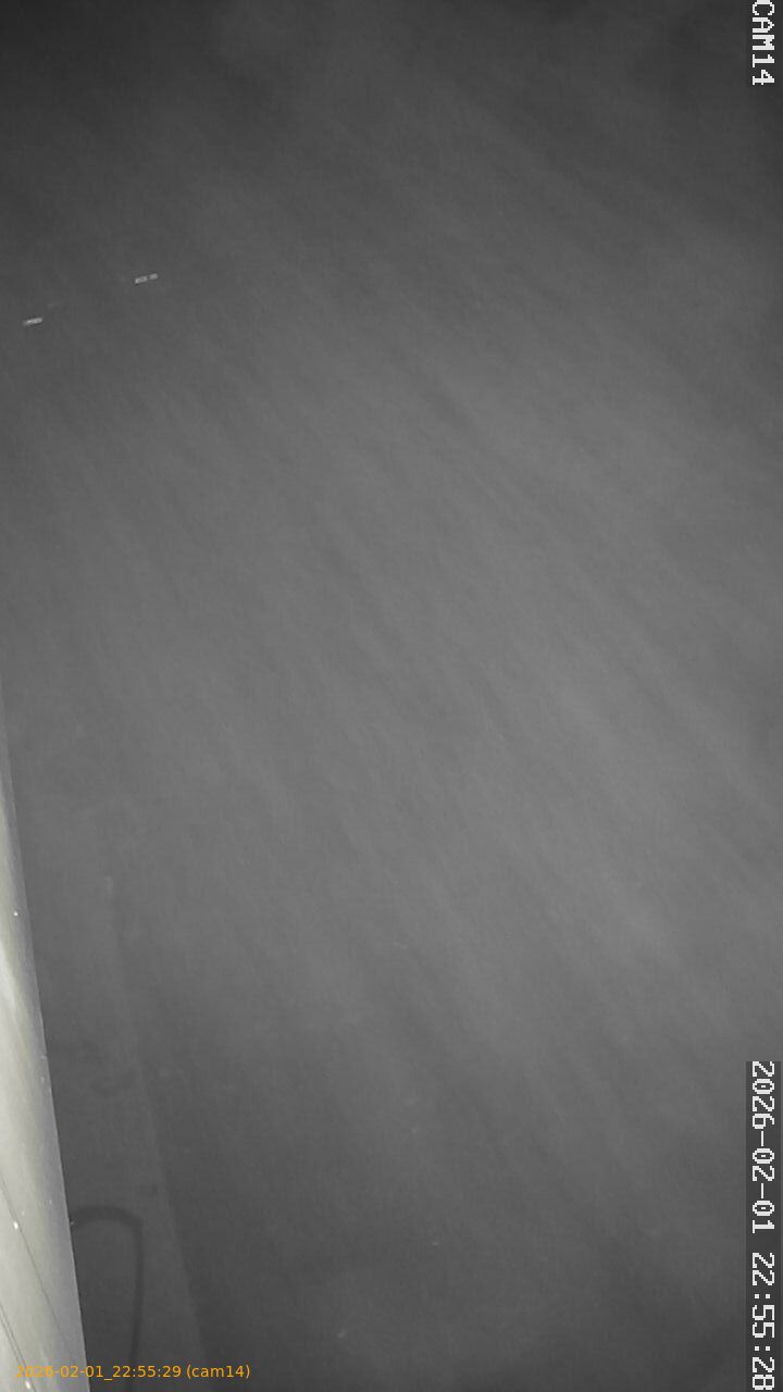 thumbnail_20260201225529