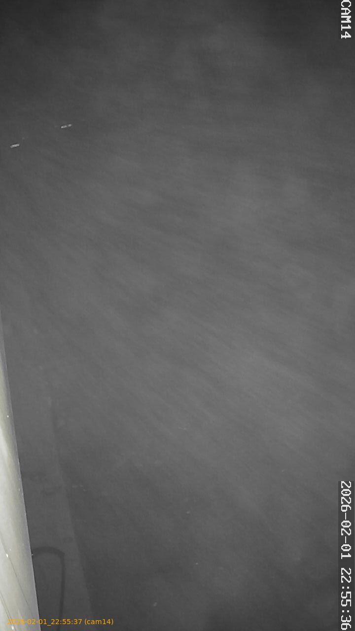 thumbnail_20260201225537