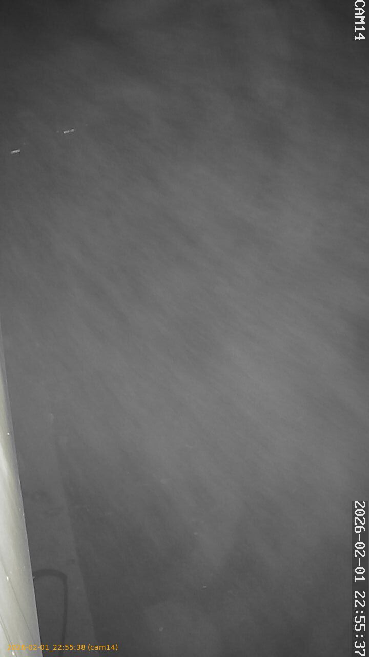 thumbnail_20260201225538