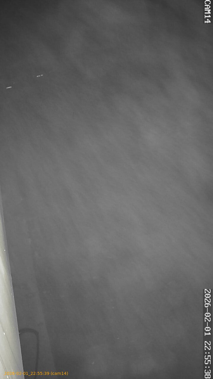 thumbnail_20260201225539