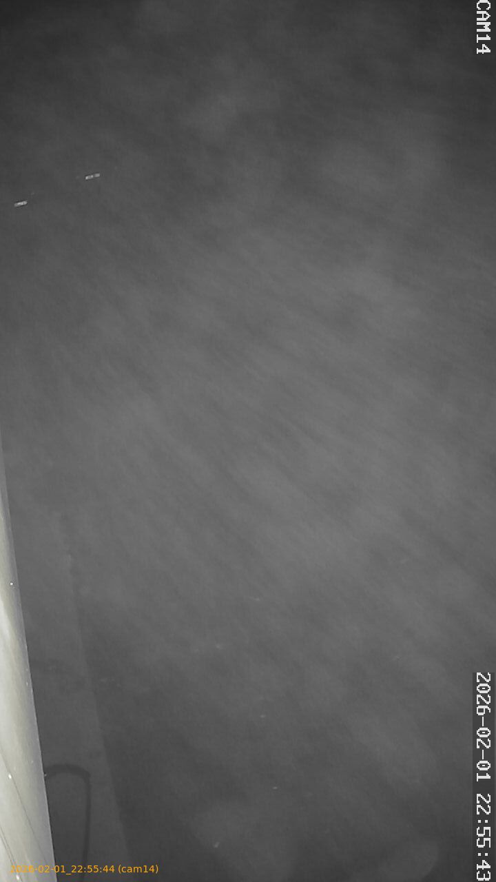 thumbnail_20260201225544