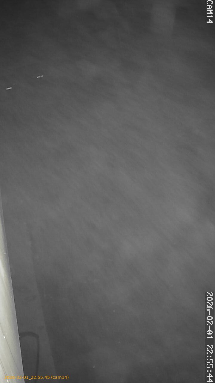 thumbnail_20260201225545