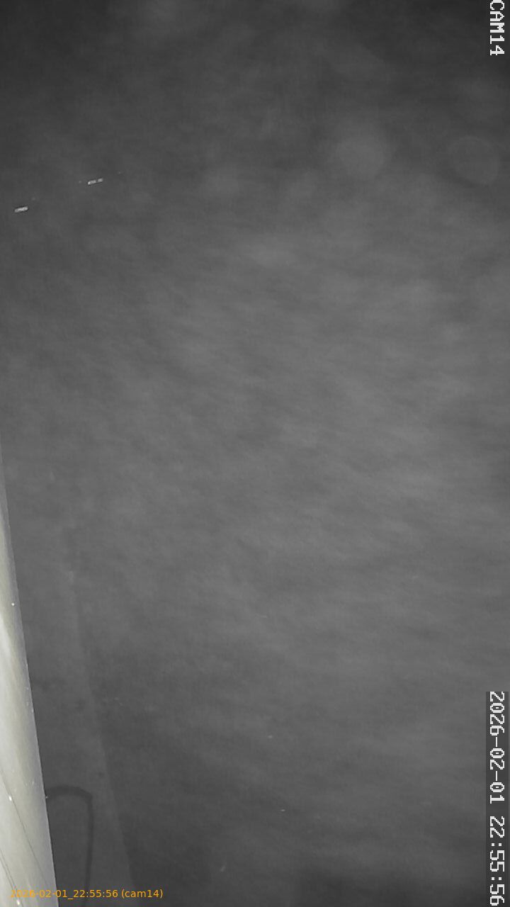 thumbnail_20260201225556