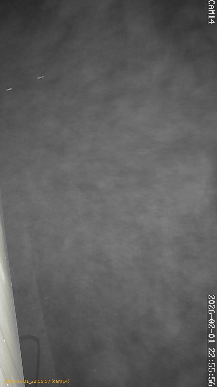 thumbnail_20260201225557