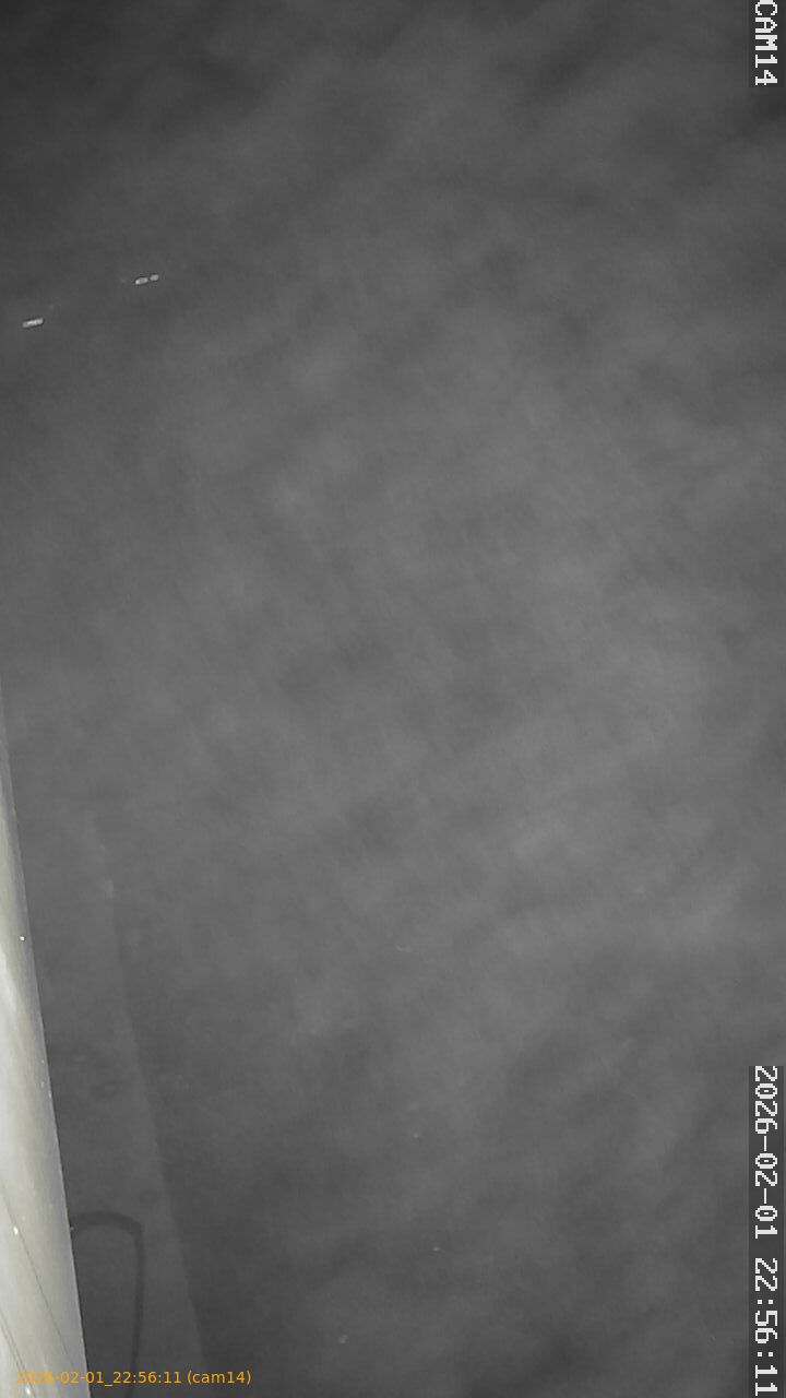 thumbnail_20260201225611