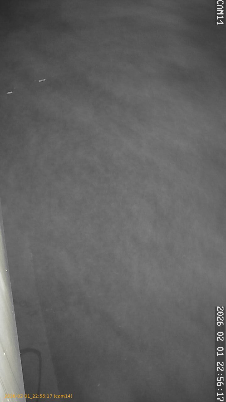 thumbnail_20260201225617