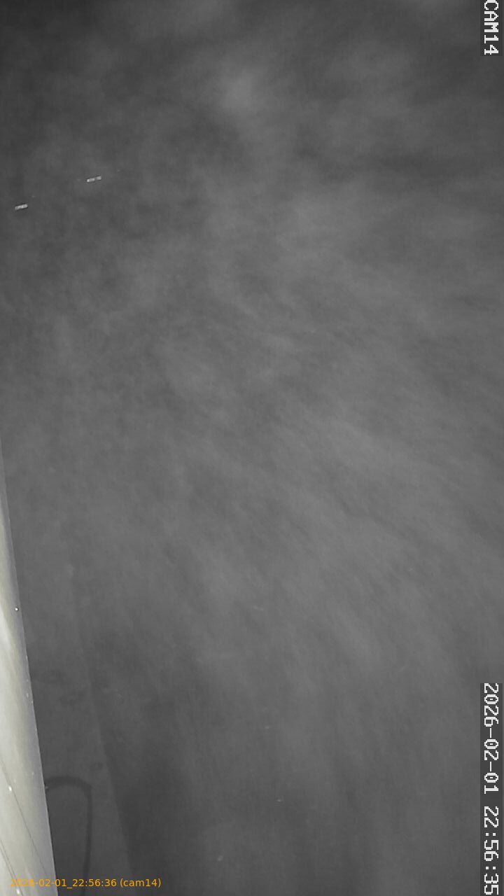 thumbnail_20260201225635