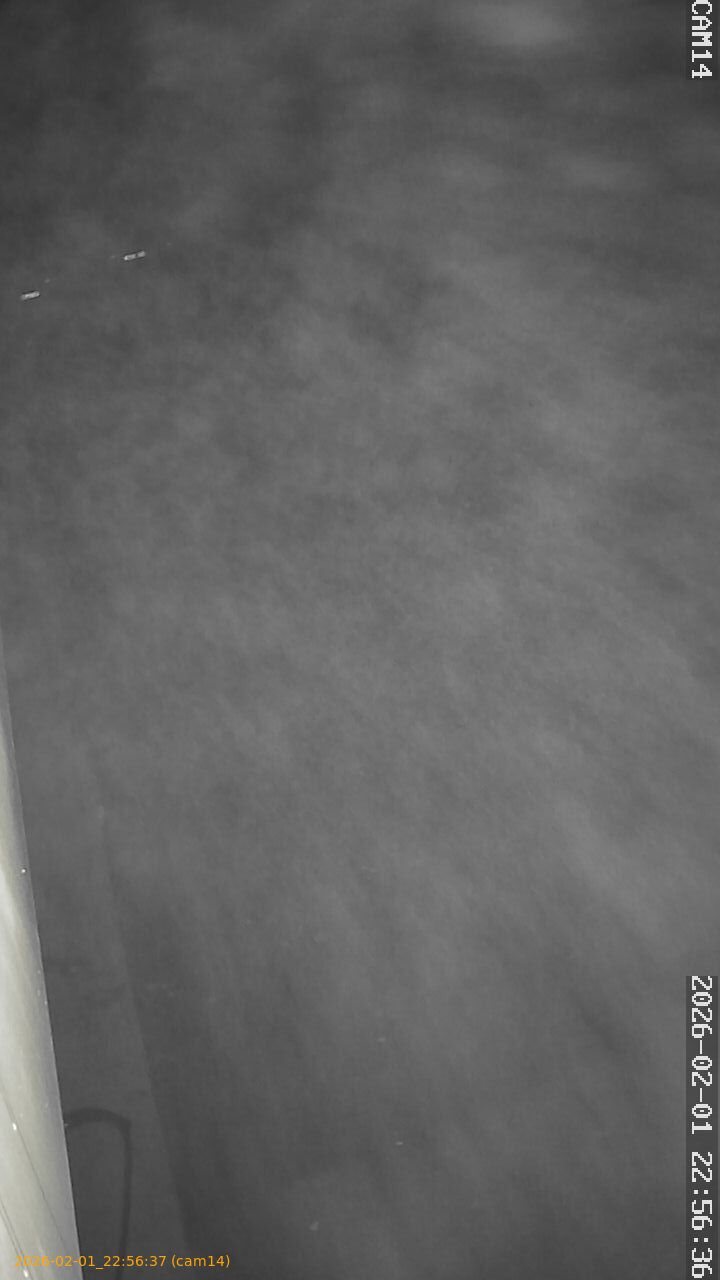 thumbnail_20260201225636