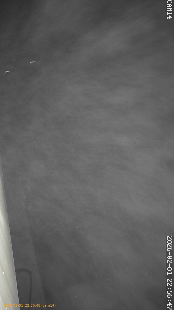 thumbnail_20260201225648