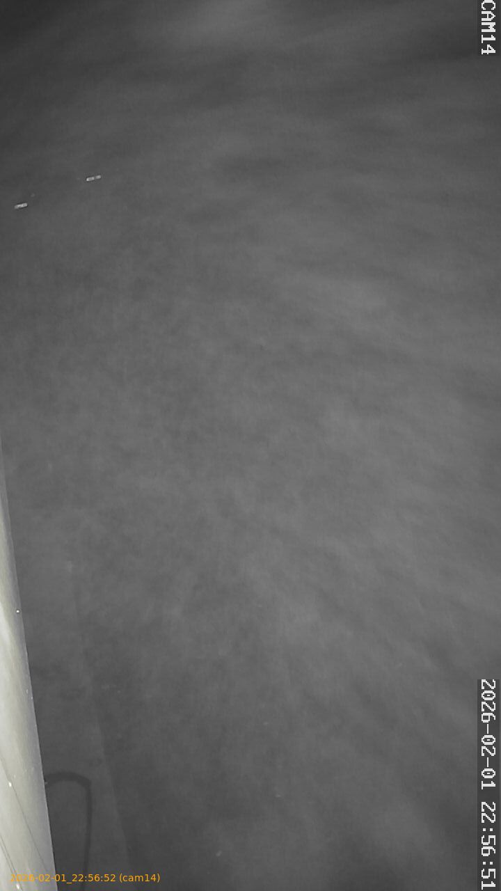 thumbnail_20260201225652