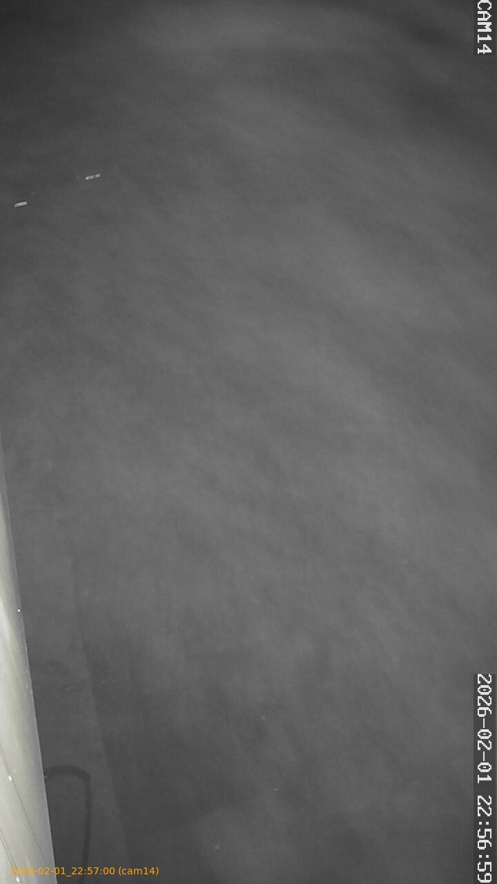 thumbnail_20260201225700