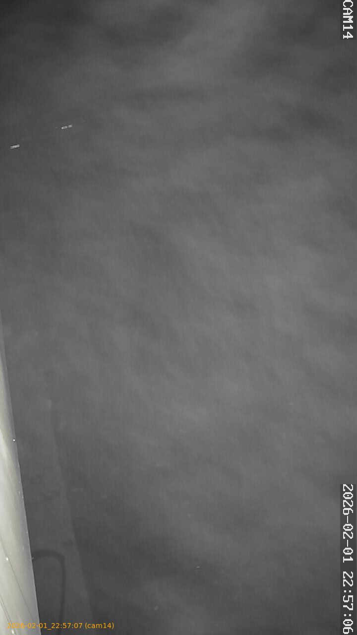 thumbnail_20260201225707