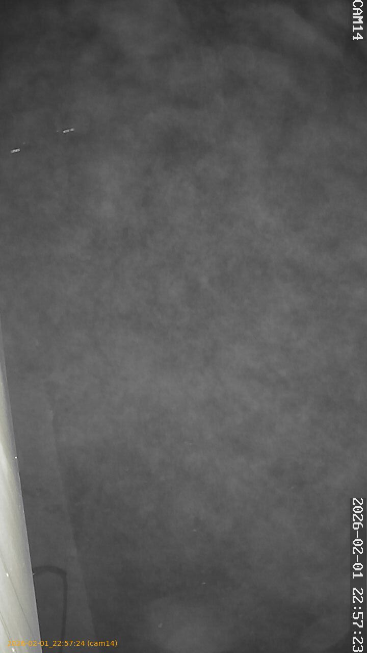 thumbnail_20260201225724