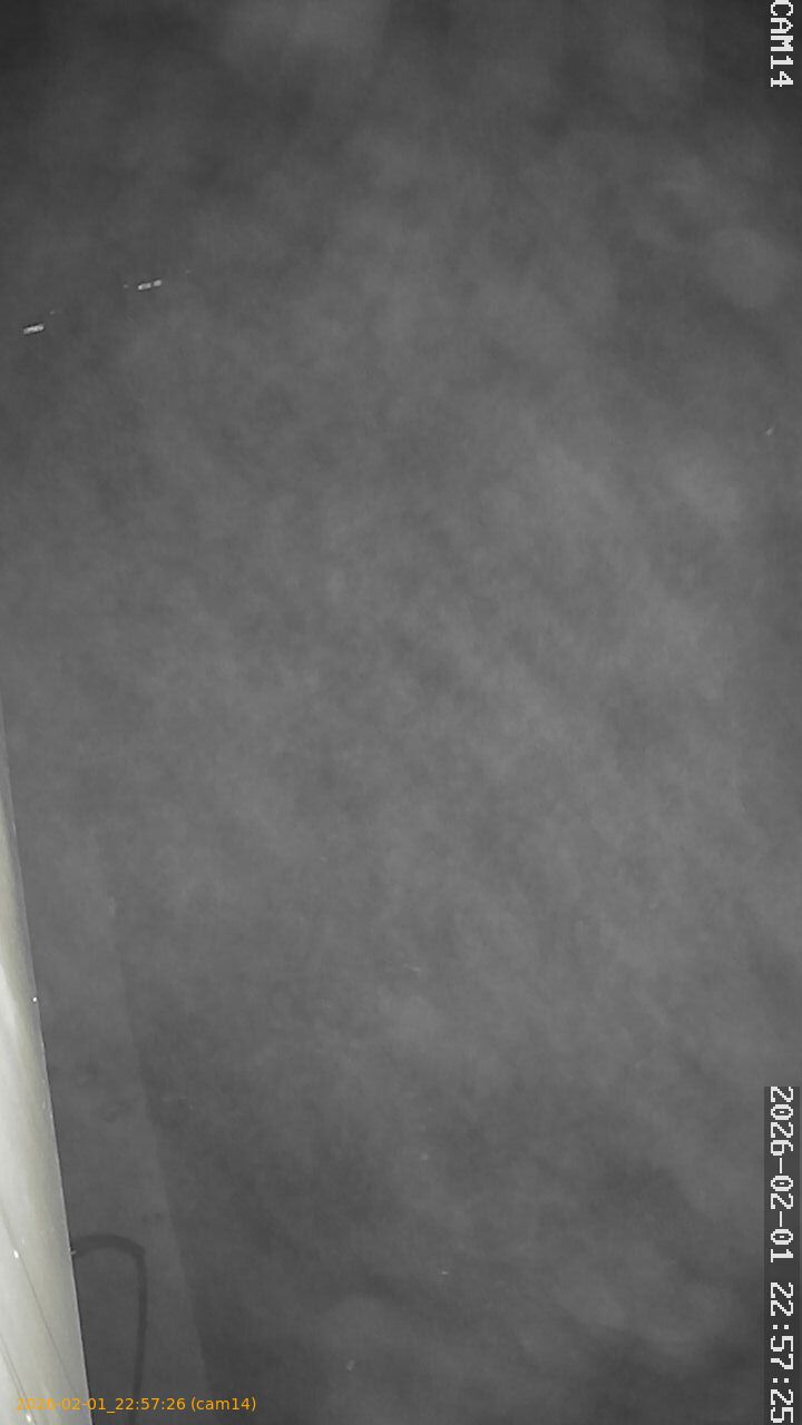 thumbnail_20260201225726