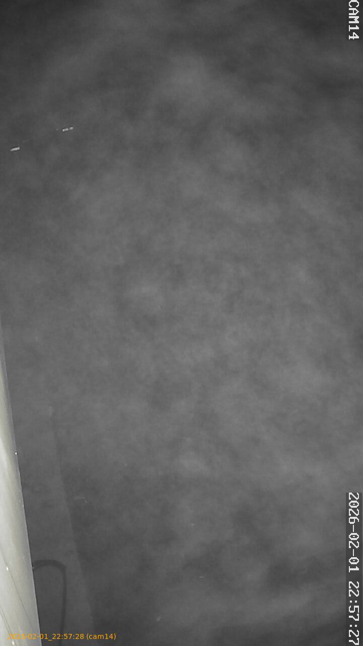 thumbnail_20260201225728