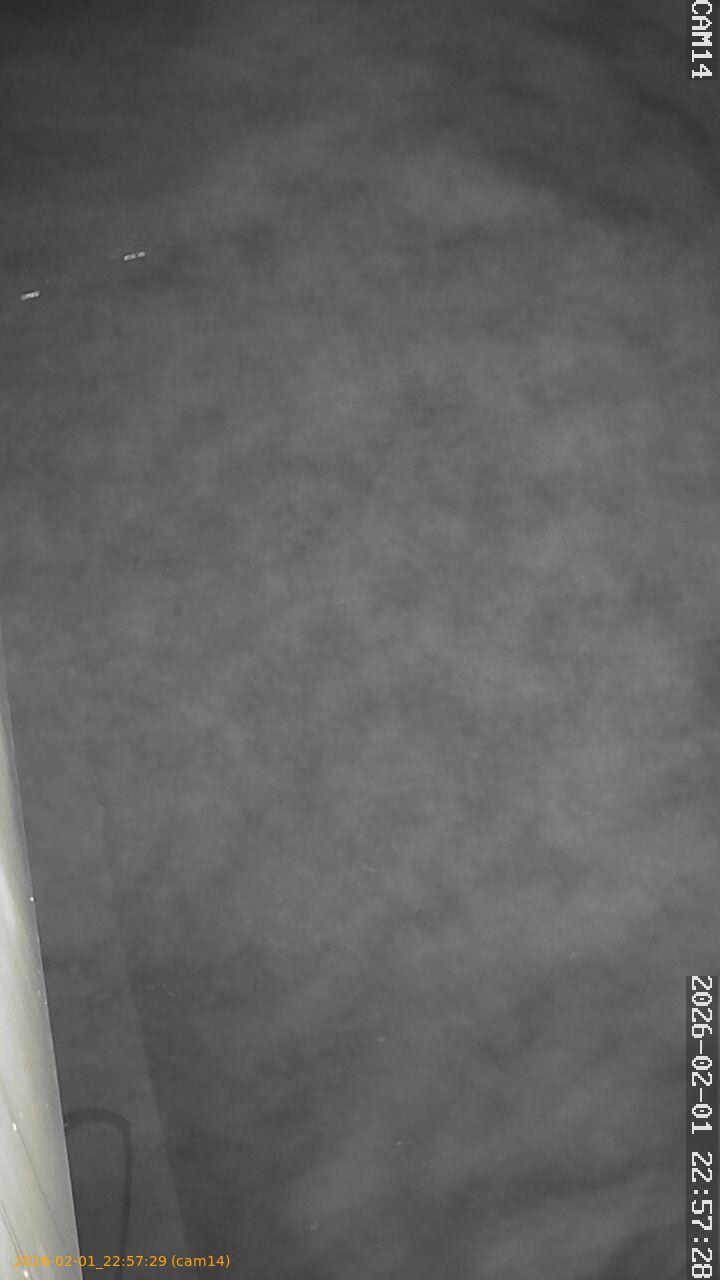 thumbnail_20260201225729