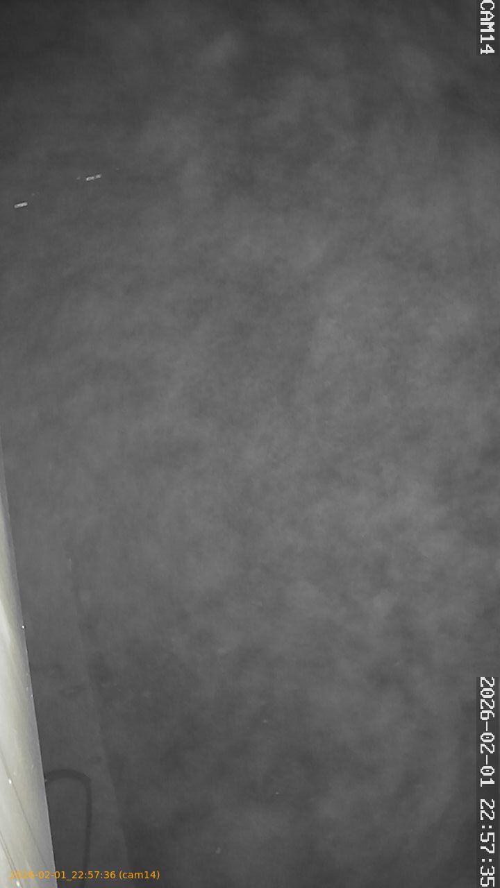 thumbnail_20260201225736