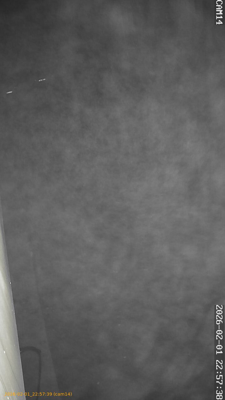 thumbnail_20260201225739