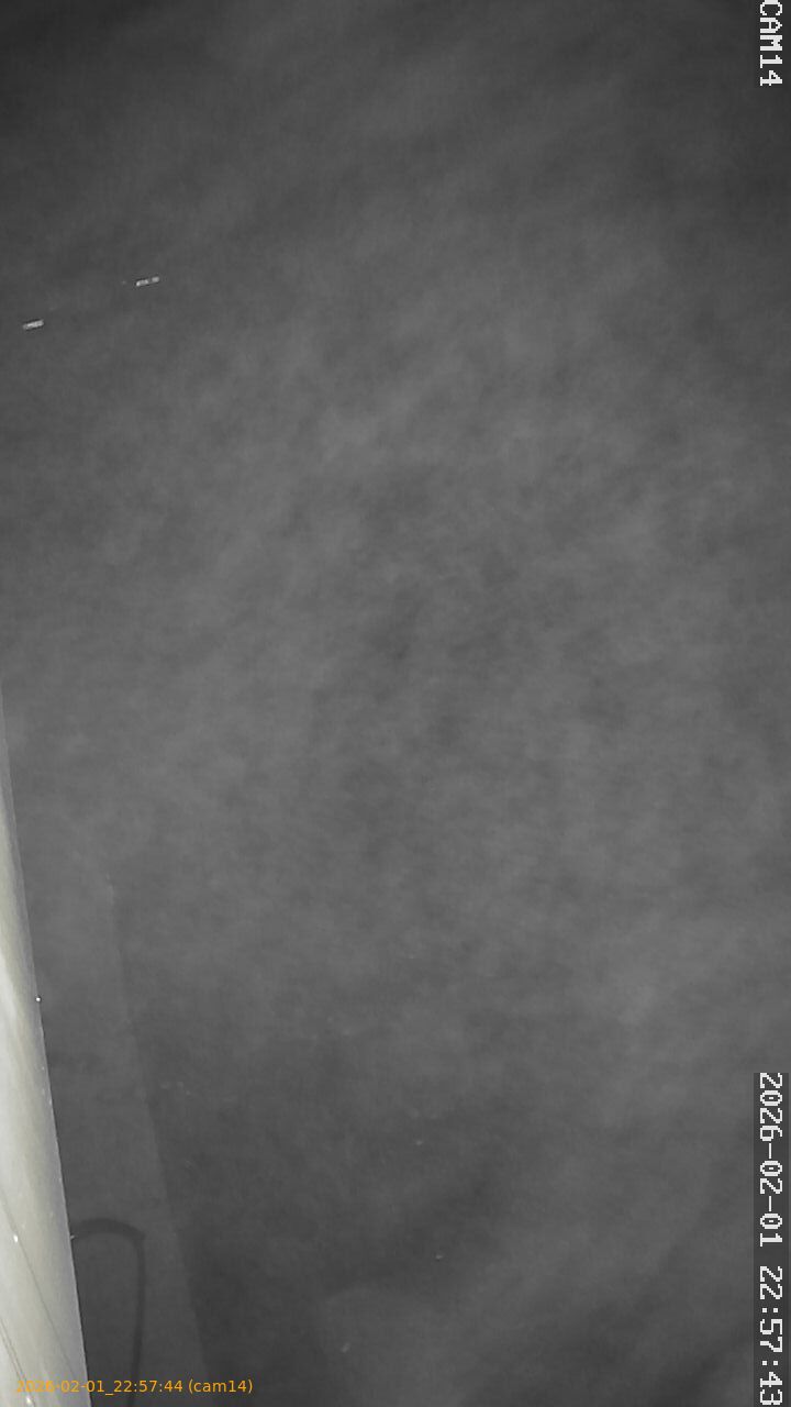 thumbnail_20260201225744