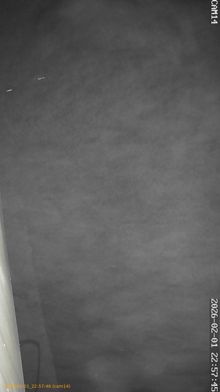 thumbnail_20260201225746