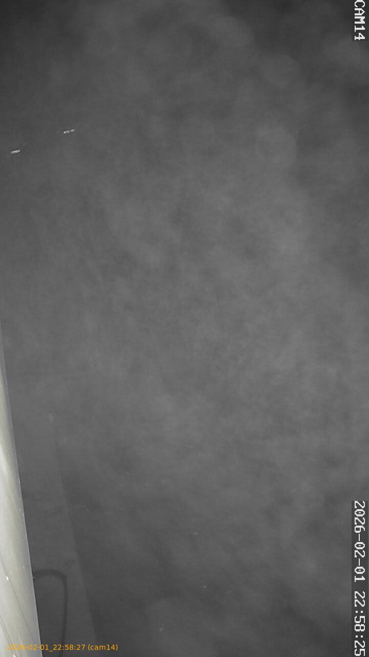 thumbnail_20260201225826