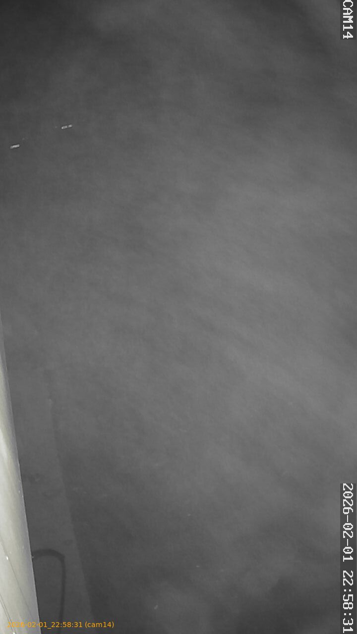 thumbnail_20260201225831