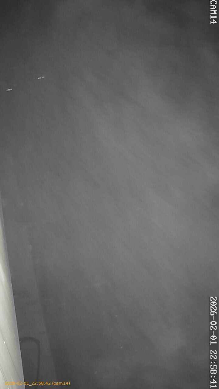 thumbnail_20260201225841