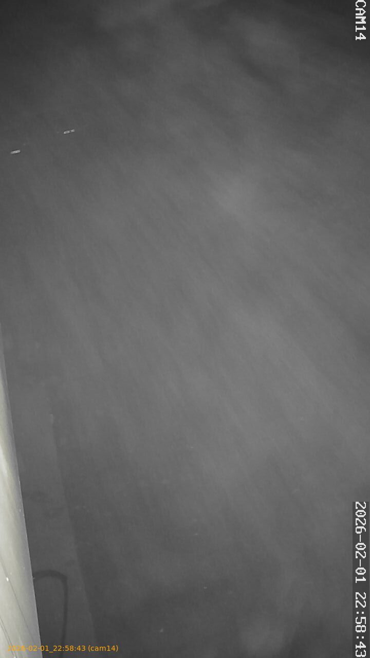 thumbnail_20260201225843