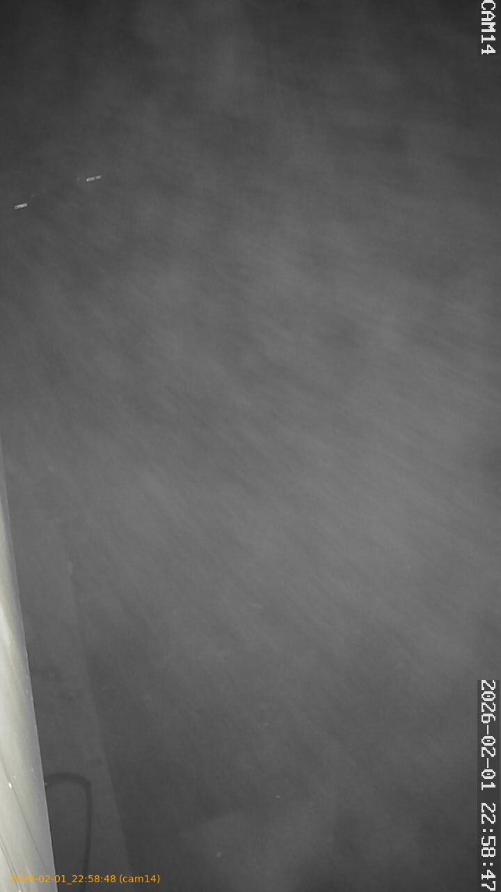 thumbnail_20260201225848