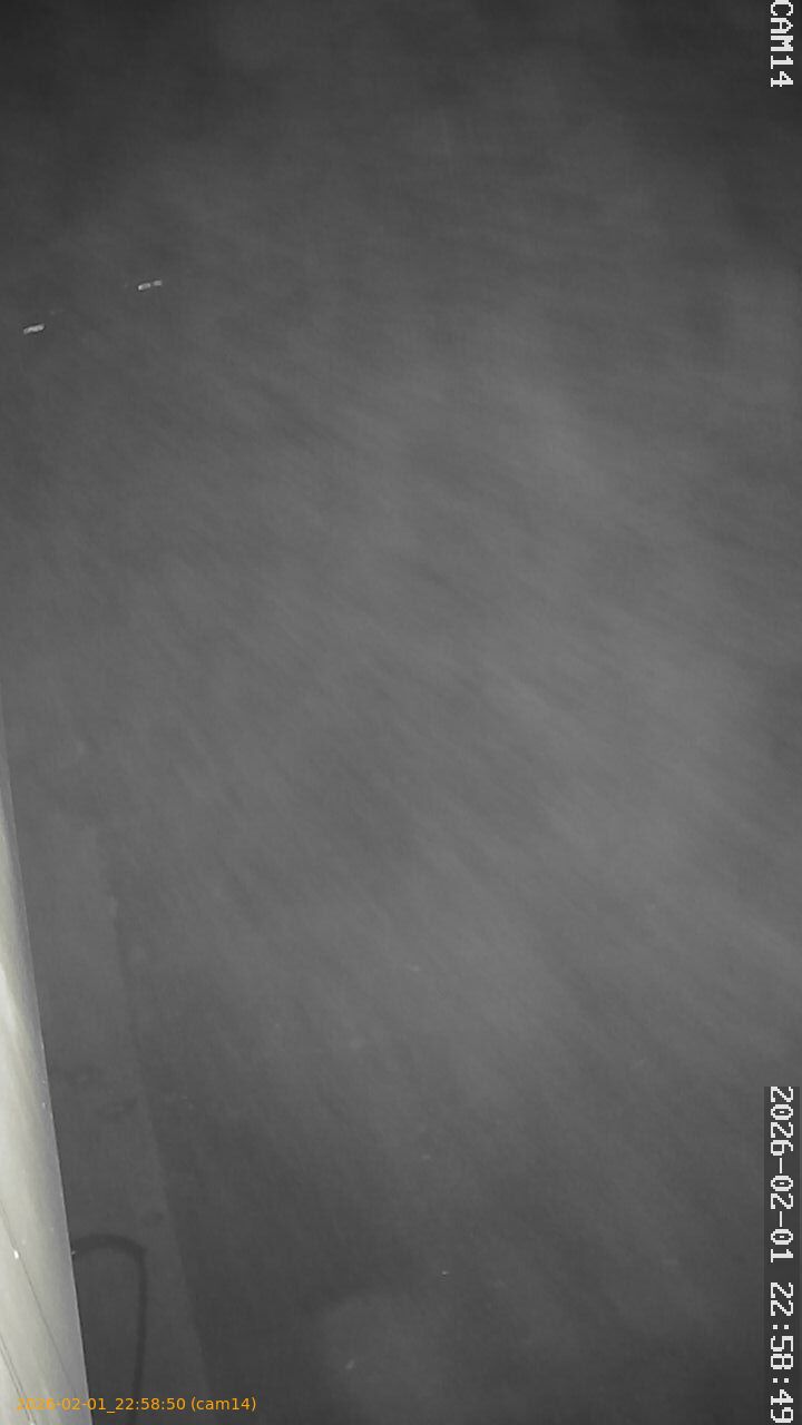 thumbnail_20260201225850