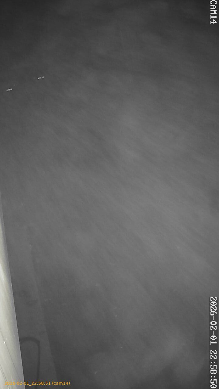 thumbnail_20260201225851