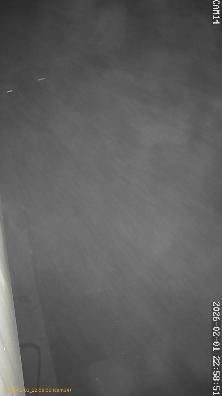 thumbnail_20260201225853