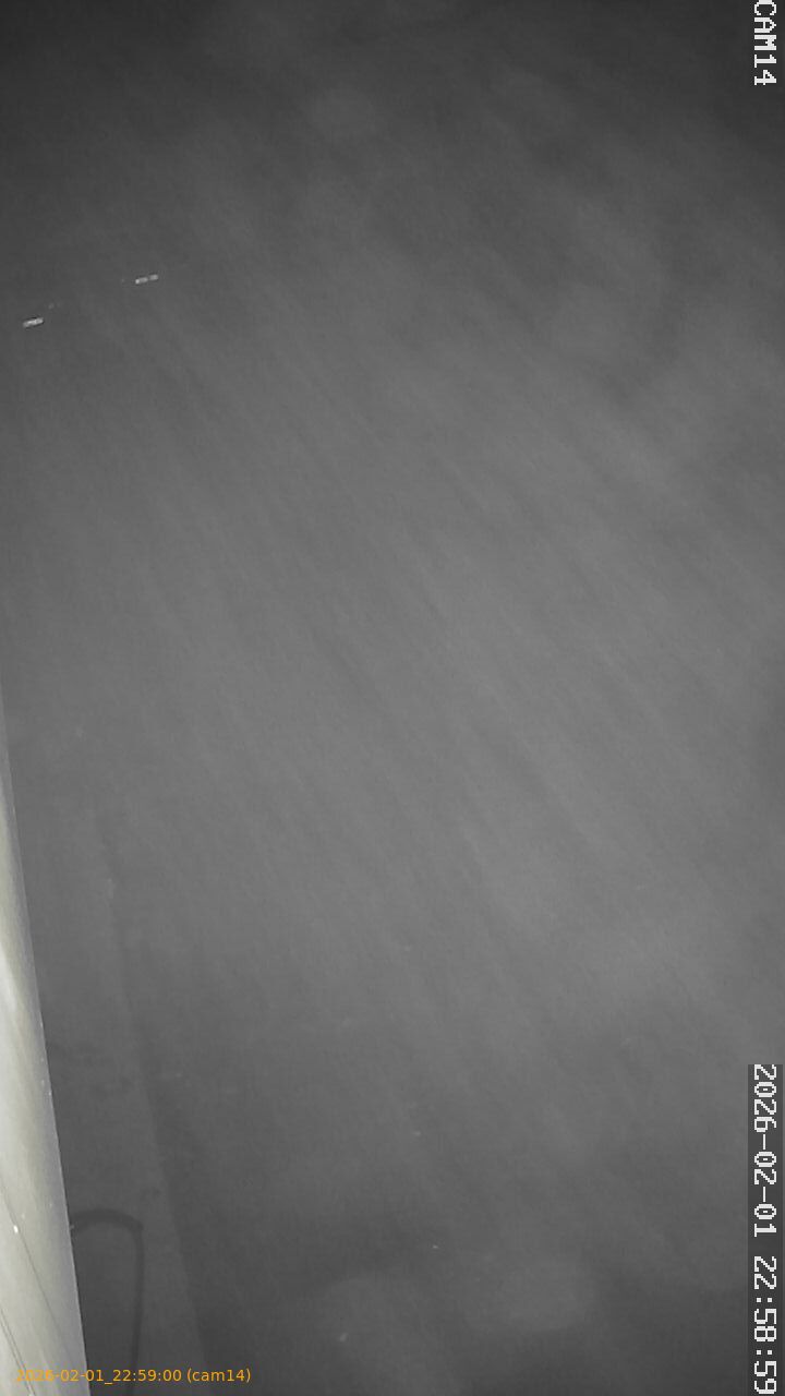 thumbnail_20260201225900