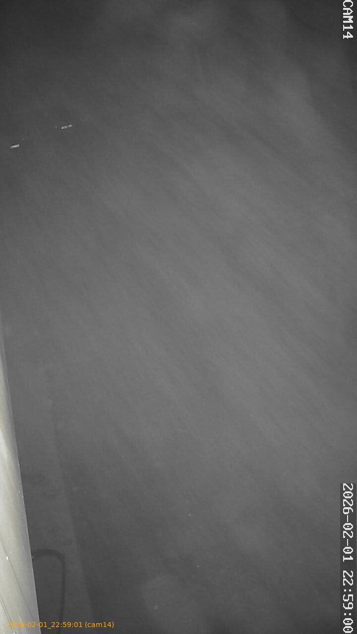 thumbnail_20260201225901