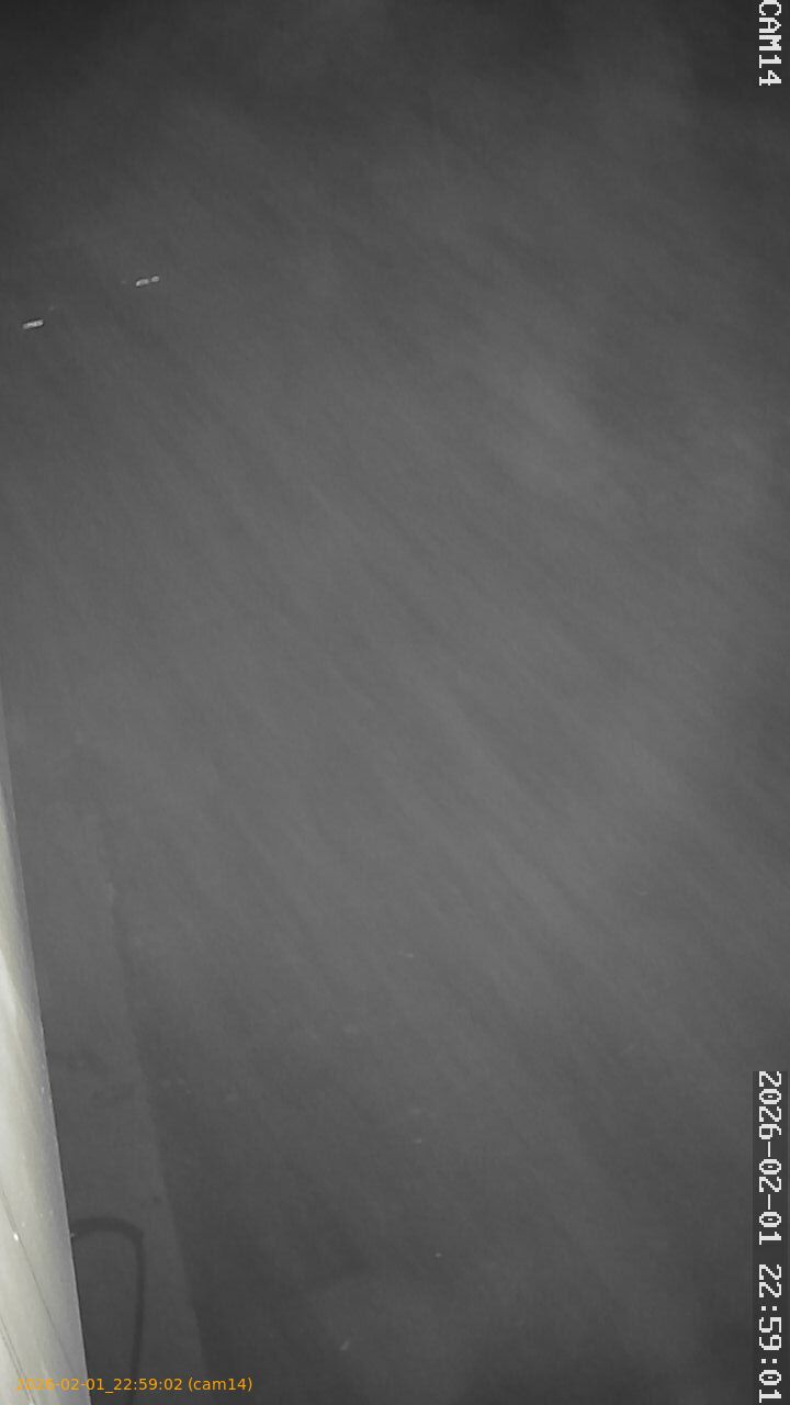 thumbnail_20260201225902