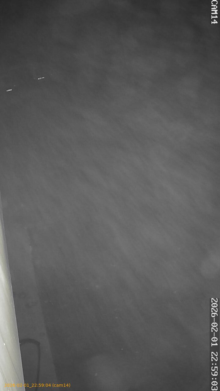 thumbnail_20260201225904